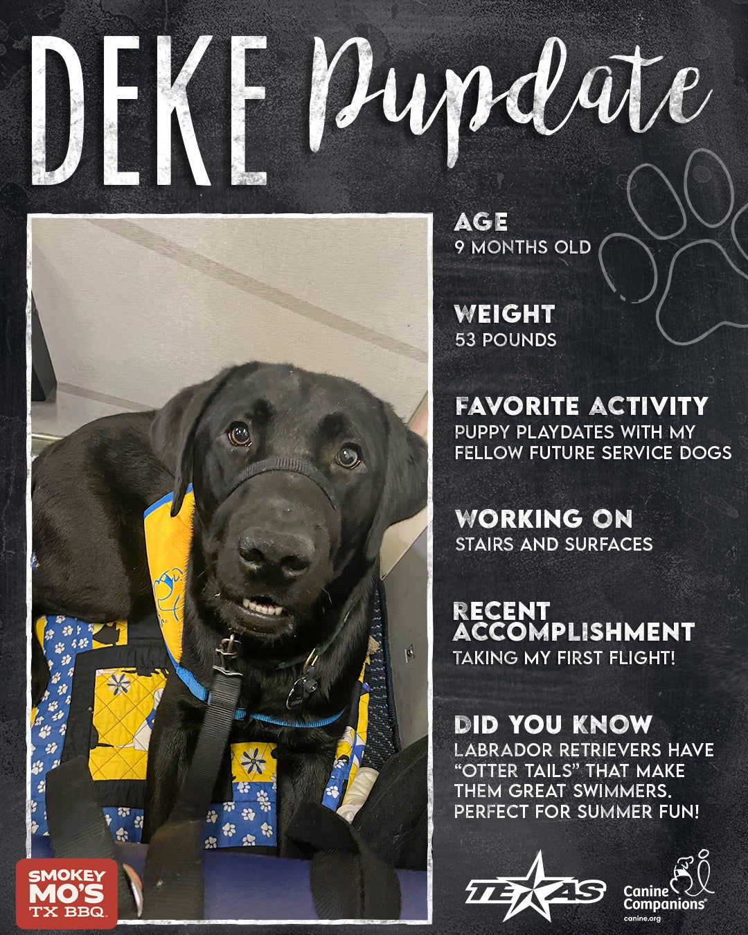 2526-Social-PupDate-9Months 1.jpg