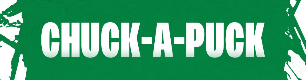 2627-Web-Website-Website Banners-Chuck-A-Puck.jpg
