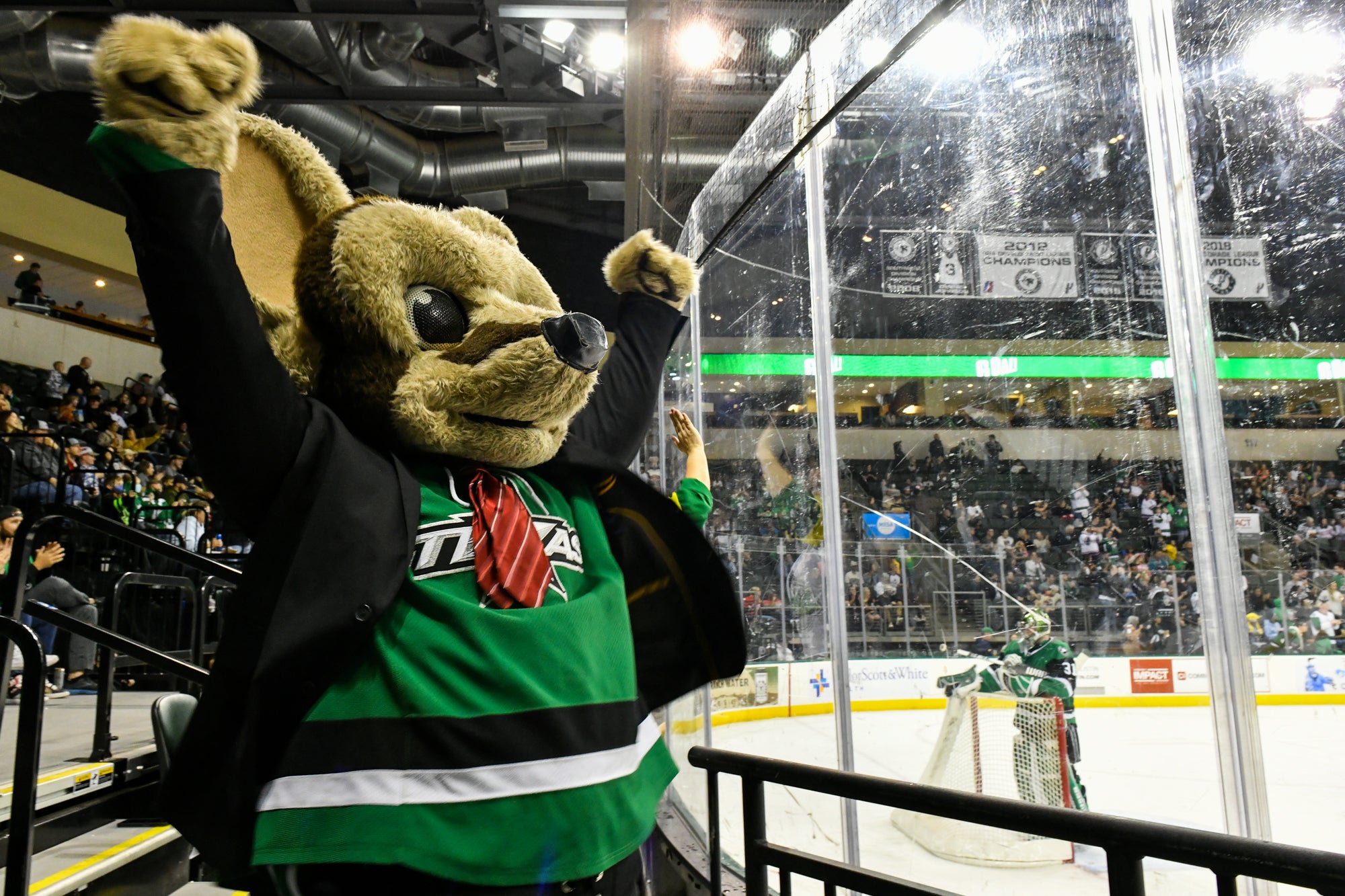 Texas Stars - Fans! Be sure to get your bids in for our spring