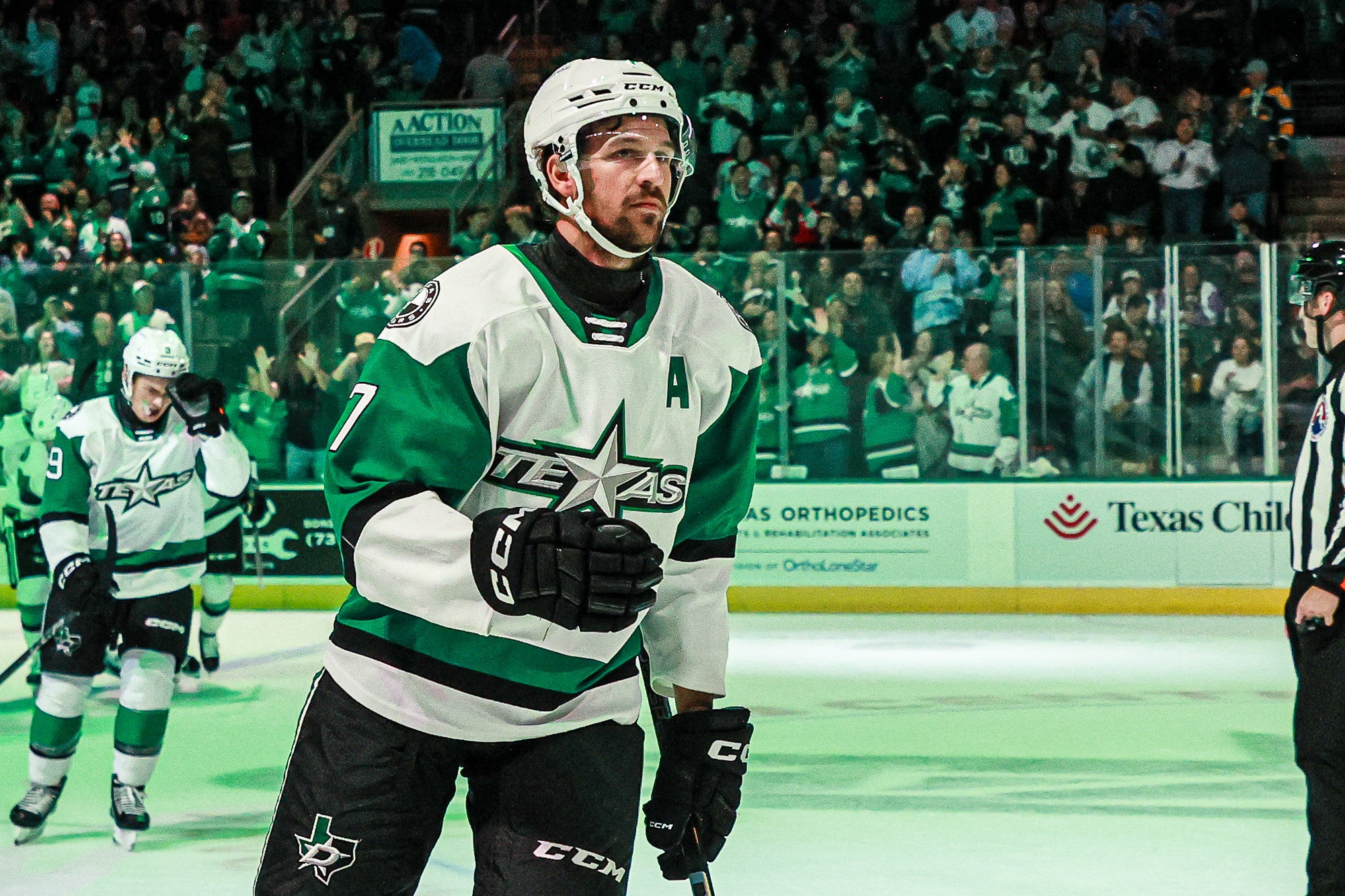 Dallas Stars Recall Defenseman Alex Petrovic